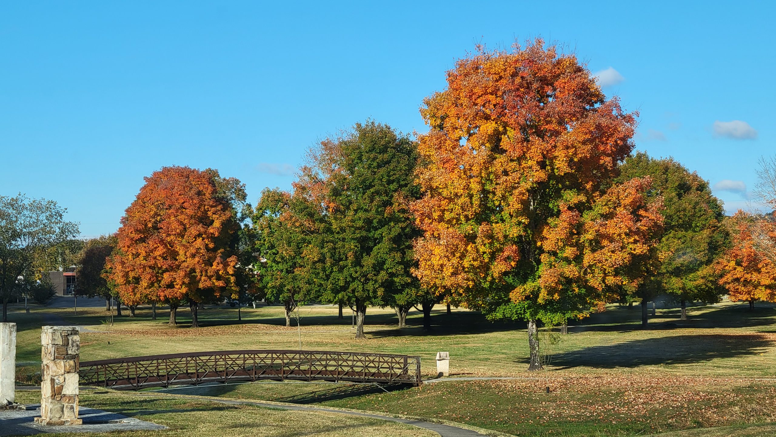 A bright outdoor scene